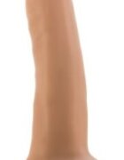 Blush NOVELTIES Dildo Realist Dr. Skin Suction Cup 14 cm Vanilla