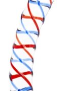 Passion Labs Dildo Swirl Double Head Sticla Premium 20 cm Glass Series