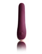 Rocks Off Vibrator Climaximum Mia 10 Moduri Vibratii Silicon Burgundy USB 14 cm