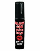 Spencer & Fleetwood Spray Blow Job Aroma Menta 25 ml