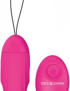 TOYZ4LOVERS Ou vibrator Elys wireless roz