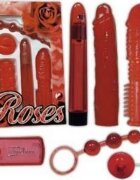 YOU2TOYS Set complet jucarii sexuale Red Roses
