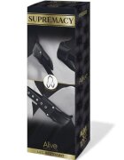 Alive Accesoriu BDSM Supremacy sistem reglabil de imobilizare pentru gât și picioare rezistent la apă negru 36 cm