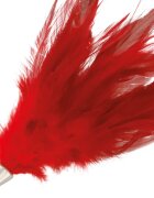 DARKNESS Accesoriu erotic Red Stimulating Feather pentru stimulare senzorială delicată culoare roșu