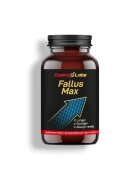 DESIRE LABS Capsule Fallus Max pentru susținerea erecției și îmbunătățirea performanței intime - 90 capsule