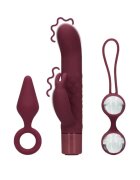Loveline Set jucării (S)Explore Toy Kit For Her cutie cadou cu vibrator rabbit mini plug anal și bile kegel culoare roșu