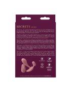 NsNovelties Vibrator dublu SECRETS ECHO pentru stimularea clitorisului și punctului G control prin telecomandă 10 funcții de vibrație culoarea roz