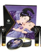SHUNGA Set cadou - Secret Geisha fructe exotice ulei de masaj 10 ml ulei cu efect de incalzire aphrodisiac 10 ml lumanare lubrifiant 10 ml gel stimulant 7 ml