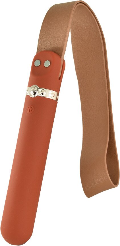 Passion Labs Vibrator&Cravasa Rizey 9 Moduri Vibratii Silicon Maro USB
