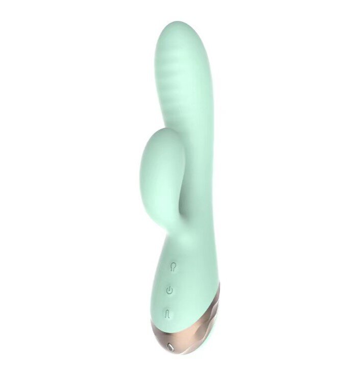 Passion Labs Vibrator Iepuras Inflatable Sahara 10 Moduri Vibratii Silicon USB Magnetic Verde 19.5 cm Sensations